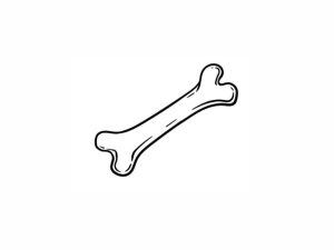 Reformer Pilates for Osteoarthritis